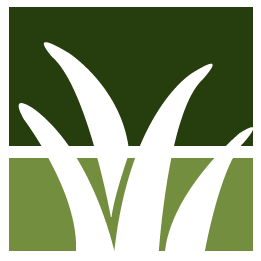 Clearwater Lawn Clean Up