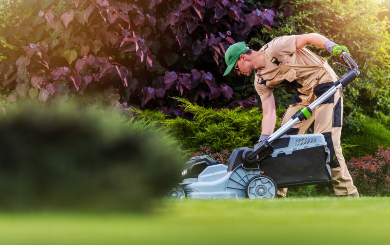 Professional Lawn Maintenance