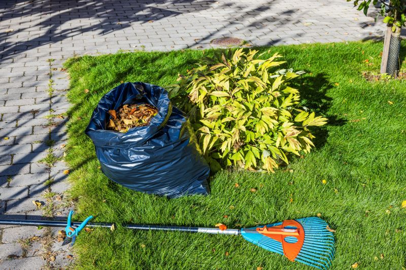 Fall Yard Cleanup Service