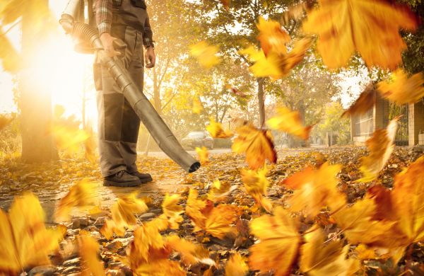 Leaf Blowing Service in Clearwater