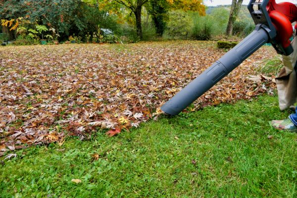 Leaf Vacuuming Service in Clearwater