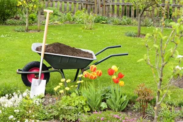 Cost of Spring Yard Cleanup in Clearwater