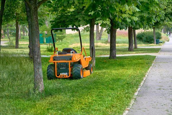 Landscaping Cleanup Service in Clearwater