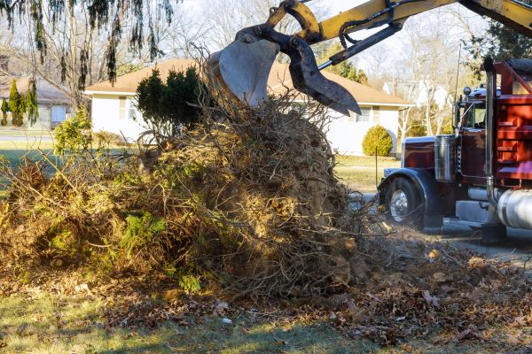 Storm Debris Removal in Clearwater