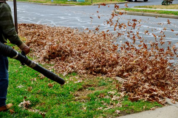 Cost of Garden Leaf Removal in Clearwater
