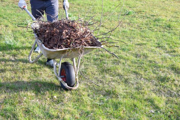 Yard Brush Removal in Clearwater