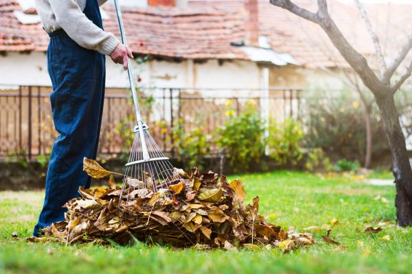 Spring Lawn Cleanup in Clearwater
