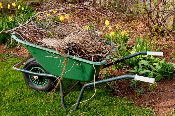 Lawn Waste Removal in Clearwater
