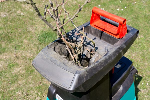 Brush Cleanup Service in Clearwater