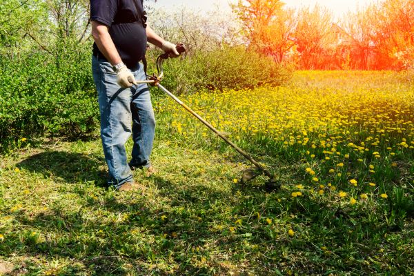 Yard Clearing Service in Clearwater