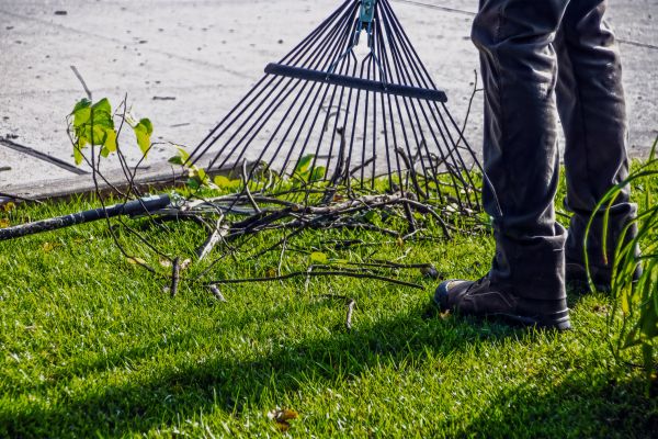Yard Debris Cleanup in Clearwater