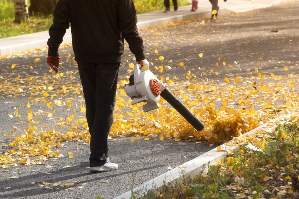 Commercial Leaf Removal in Clearwater